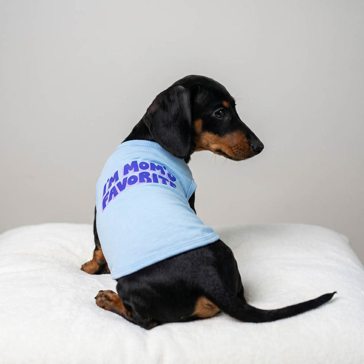 Back view of Dachshund wearing a sleeveless shirt for dogs 