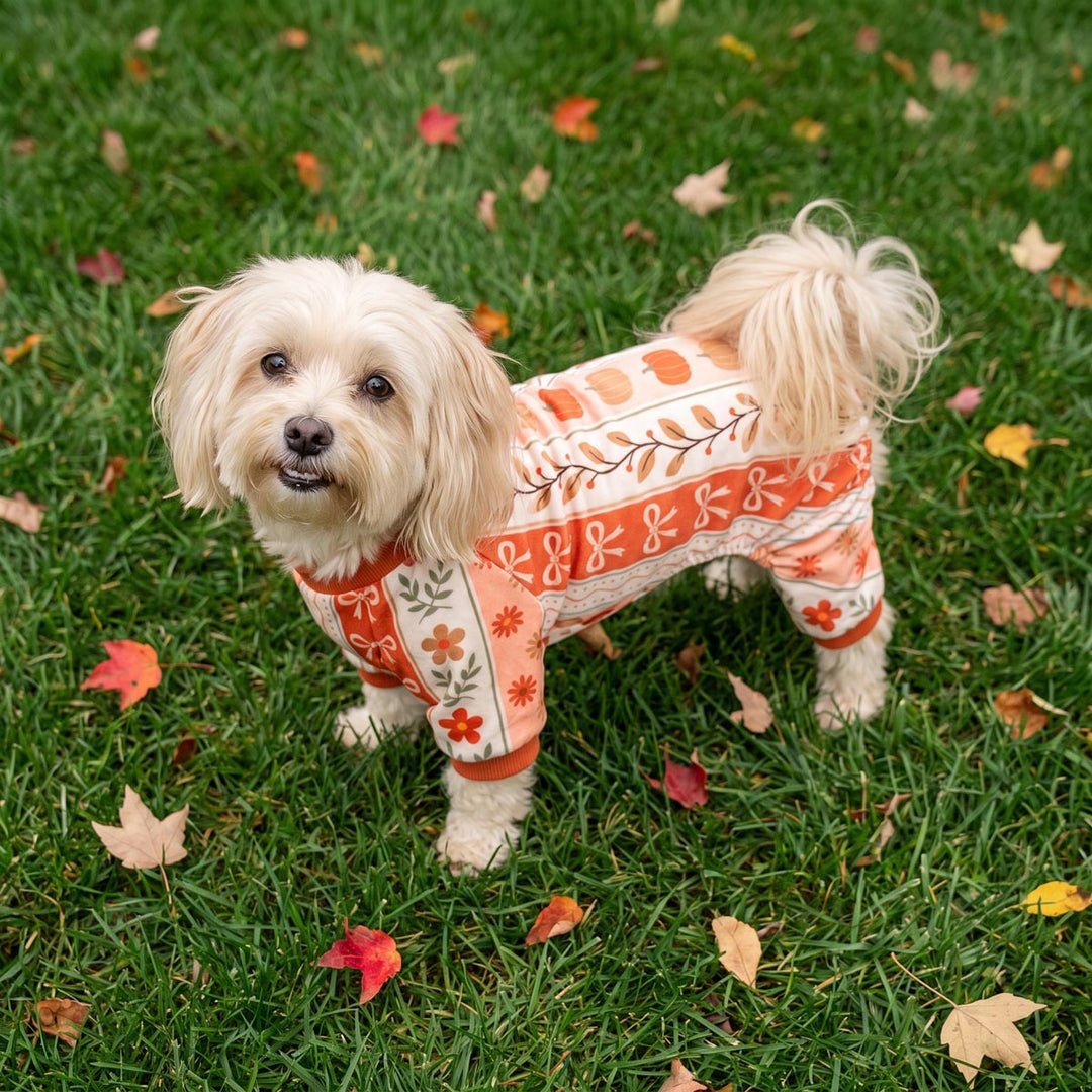 Small fluffy dog standing on green grass scattered with autumn leaves, wearing a patterned orange and cream dog pjs featuring a warm orange and cream color scheme with floral and leaf motifs