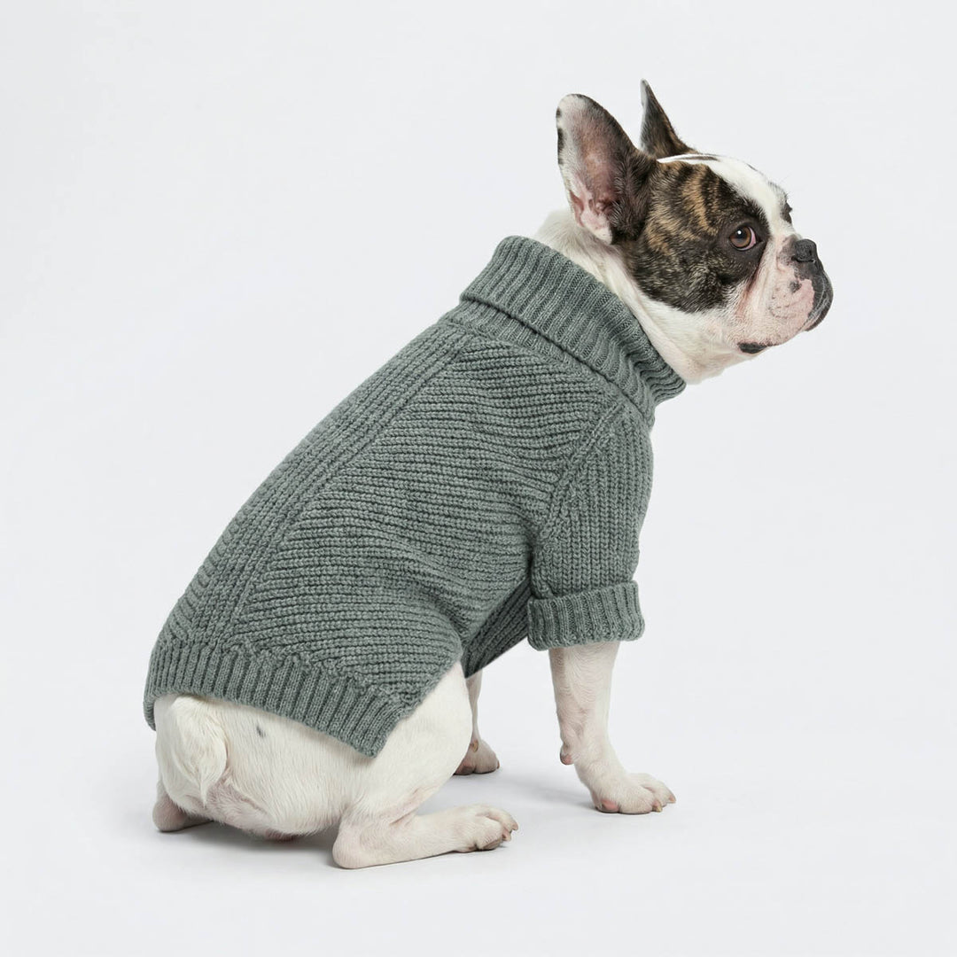 French Bulldog sitting with a dog turtleneck sweater