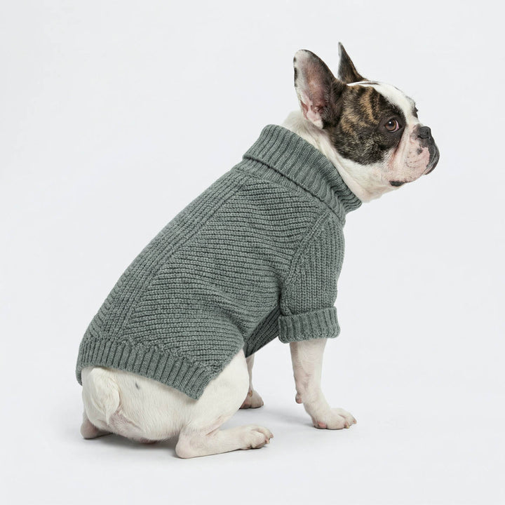 French Bulldog sitting with a dog turtleneck sweater