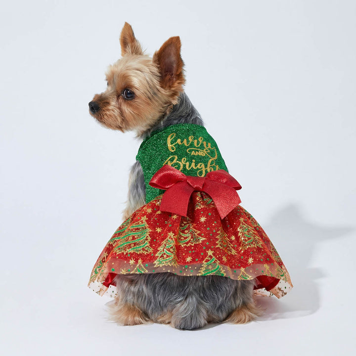 Back view of Yorkie wearing a Christmas shinning dress for dogs