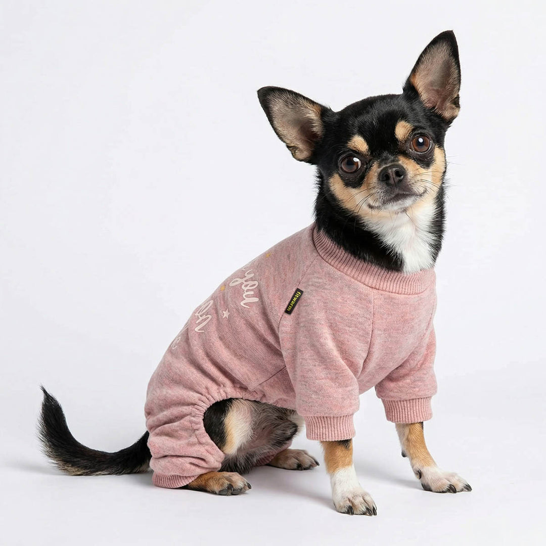 Chihuahua wearing a soft pajamas for dogs