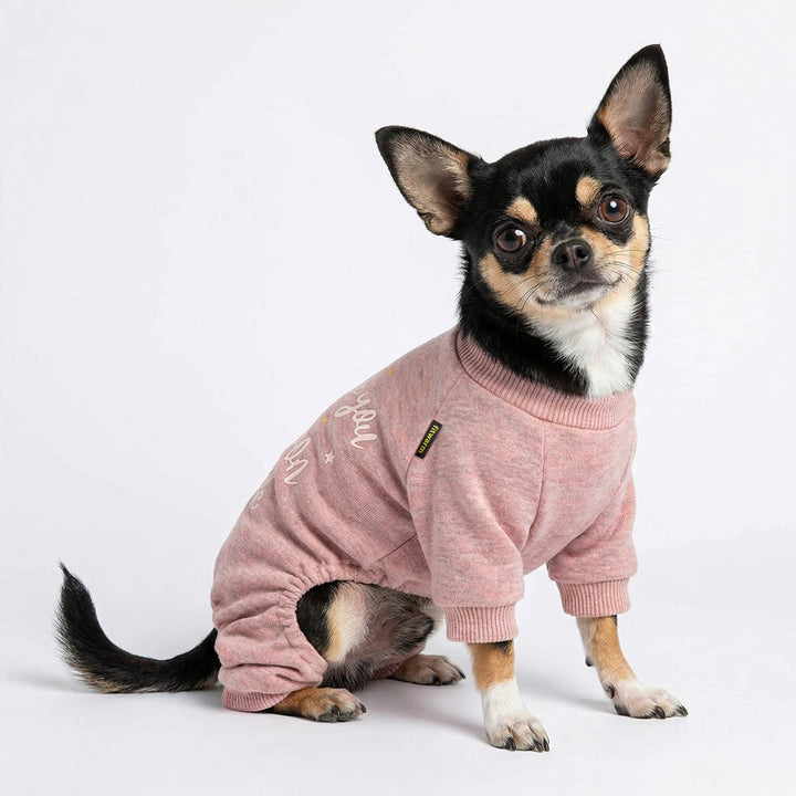 Chihuahua wearing a soft pajamas for dogs
