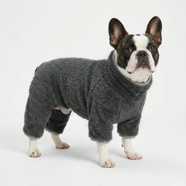 Boston Terrier wearing a gray dog fleece onesie on a white background