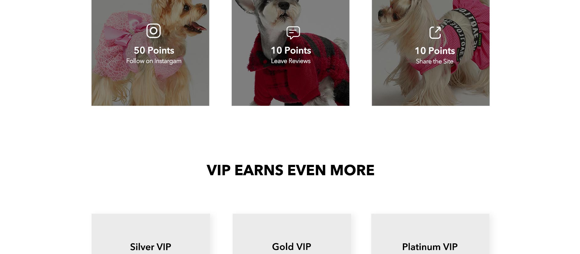 Dog Clothes - Member Rewards Program - Fitwarm