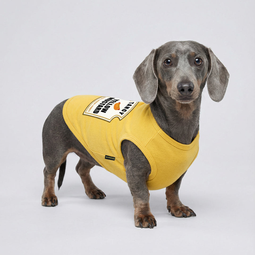 Gray dachshund standing and wearing a bright yellow dog shirt with a playful yellow mustard graphic detail