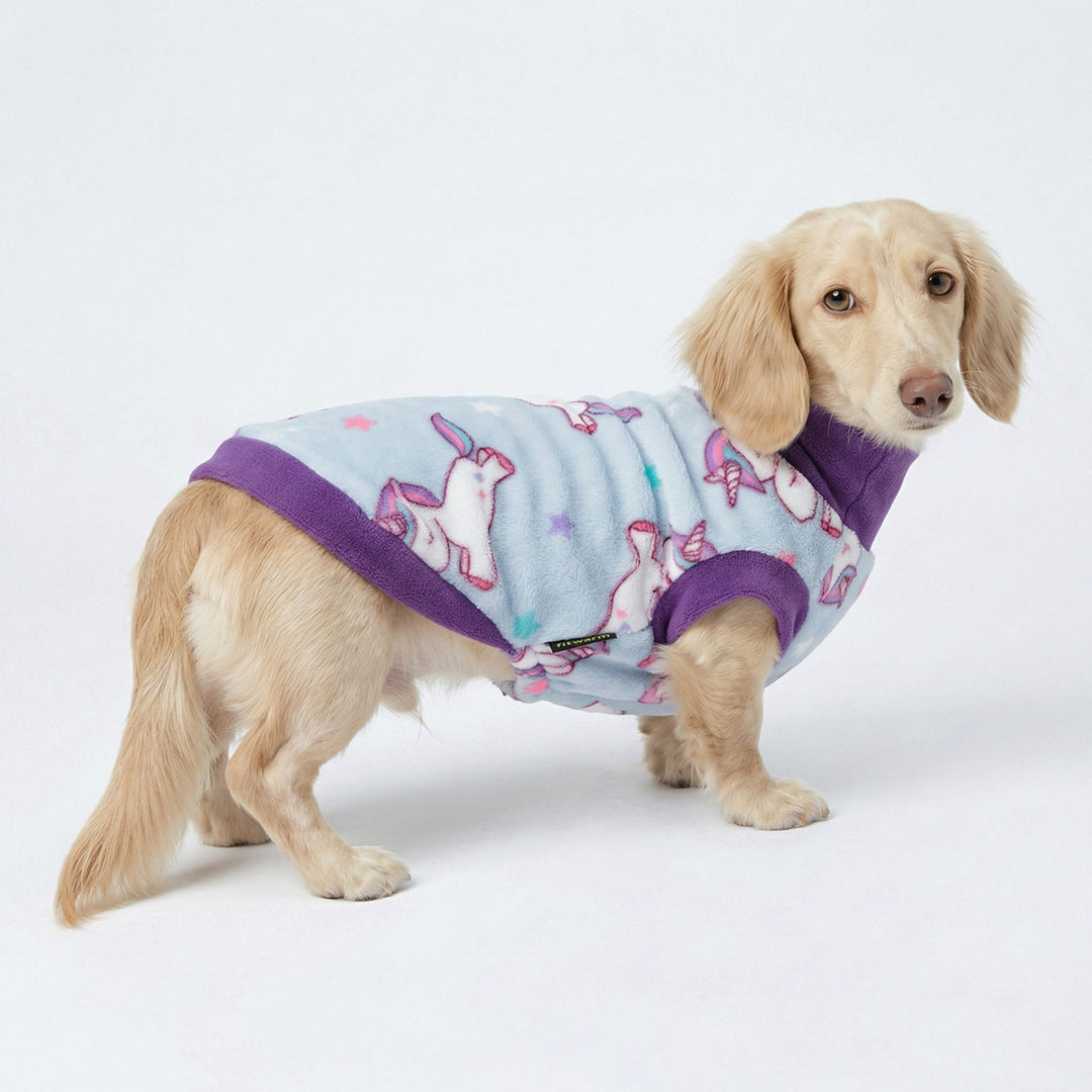 Dachshund dressed in a turtleneck dog sweater with cozy fit and cute unicorn pattern