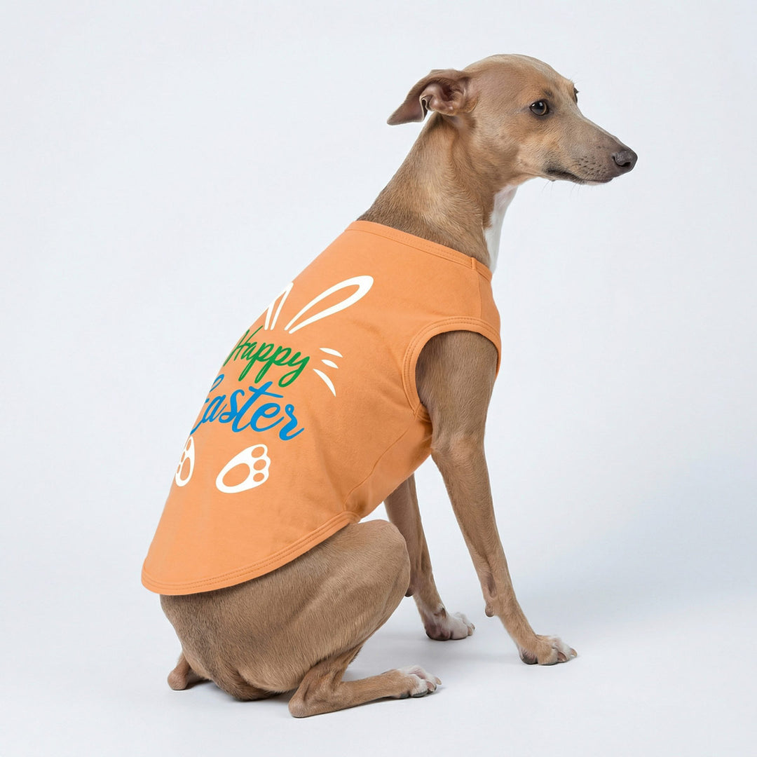 Greyhound in an orange dog tank top with 'Happy Easter' lettering and bunny prints