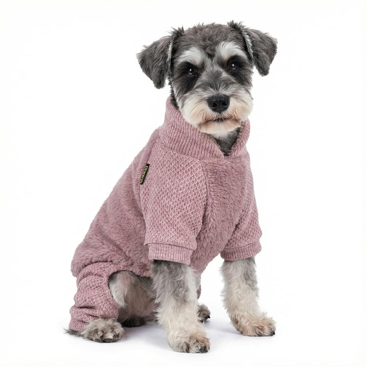 Mini schnauzer sitting in a soft purple dog pajamas set with cozy texture, photographed on a clean white studio background