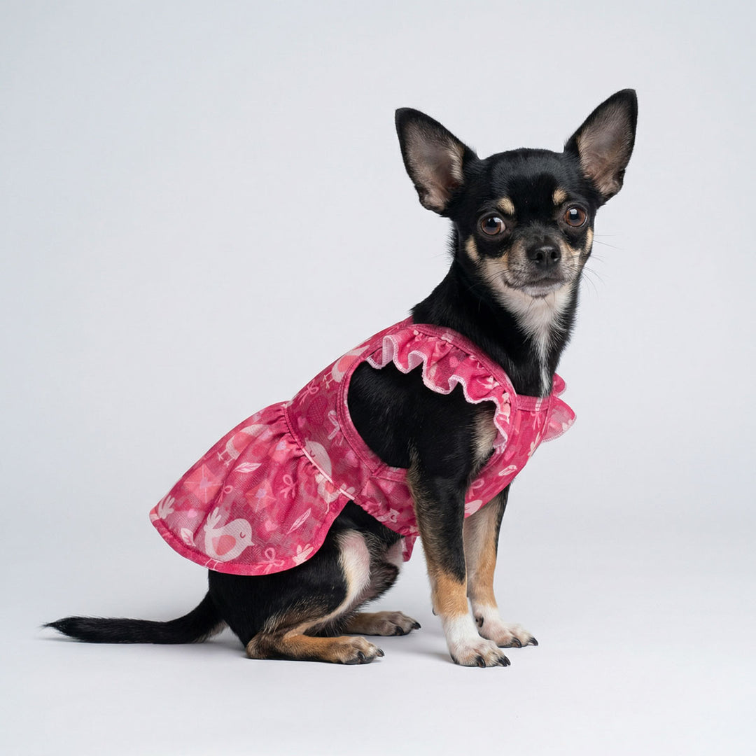 Valentine Bird Dog Dress | Pink Ruffle Halter