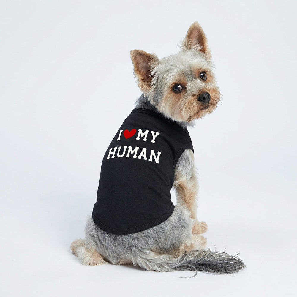 Small yorkie sitting with a black dog tshirt with sweet 'I love my human' lettering