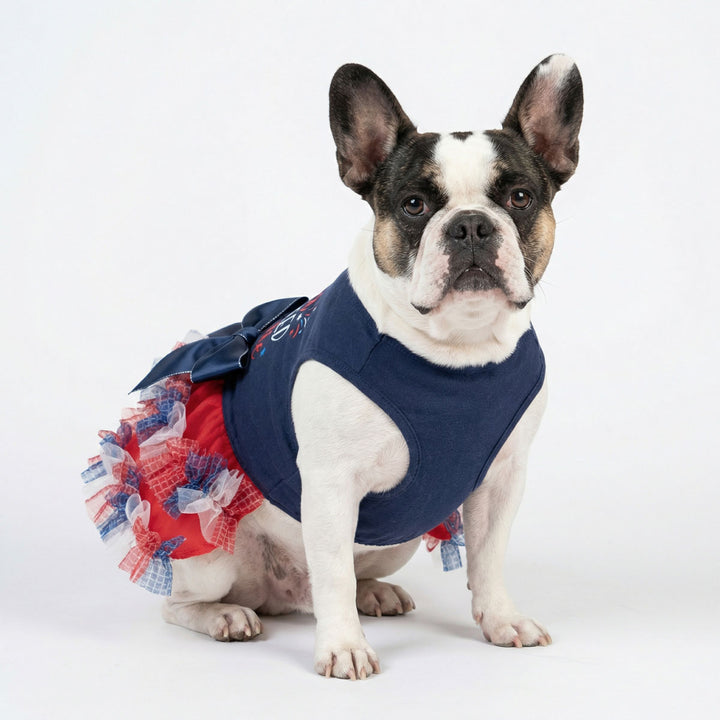 Boston Terrier in a dog patriotic tutu dress, decorated with bowknots