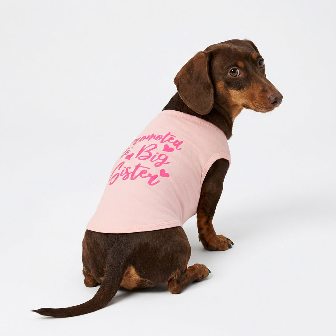 Small dog modeling sleeveless pink shirt for dogs, back view with printed design