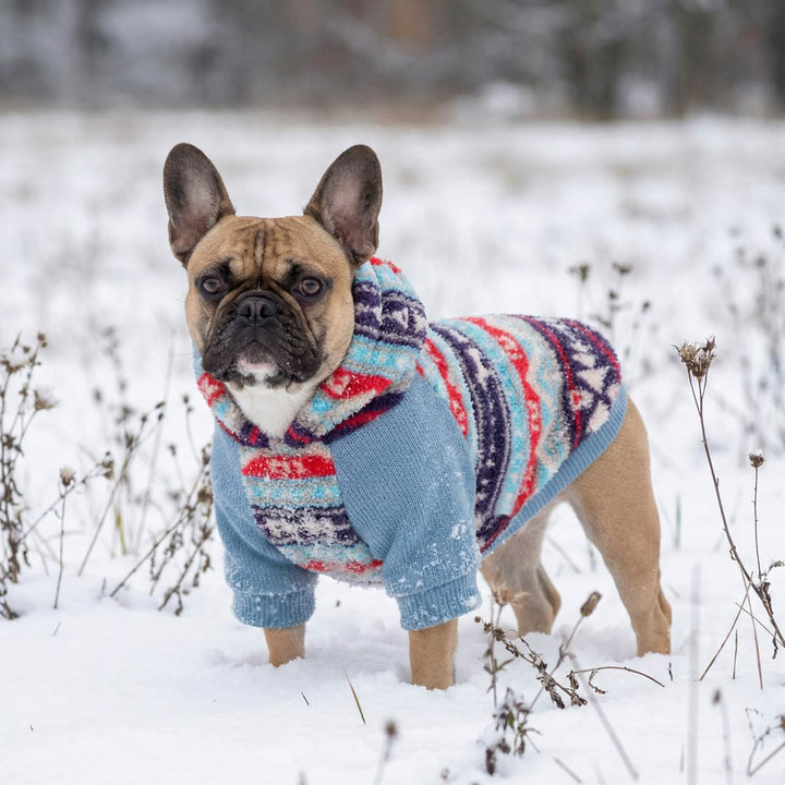 Small dog in Nordic style dog hoodie with colorful knit pattern in snow