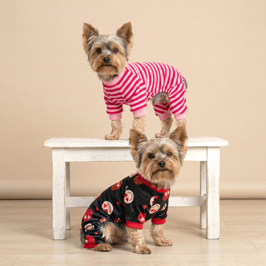 Yorkies dressed in valentine dog pajamas, one in striped and one in funny heart eyes
