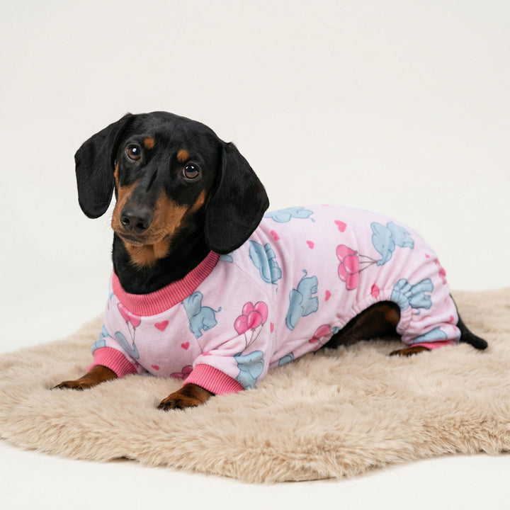 Dachshund wearing elephant print dog pajamas lying on a soft plush mat