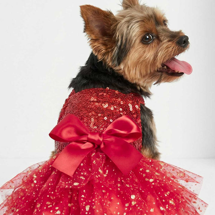 Red sparkly dog dress highlighting bow accent on small dog