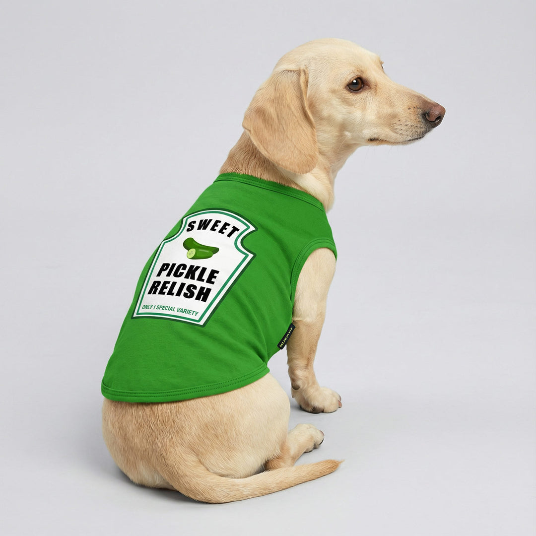 Dachshund sitting sideways wearing a green dog shirt with a pickle relish graphic, photographed against a clean white background