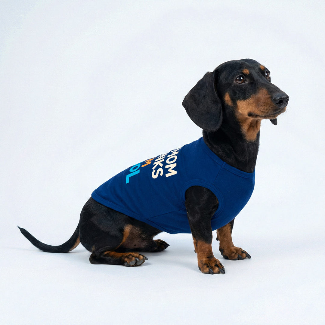 Blue dog shirt featuring “my mom thinks I am cool” text worn by a dachshund
