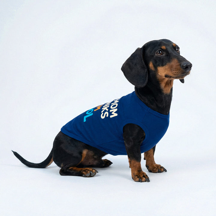 Blue dog shirt featuring “my mom thinks I am cool” text worn by a dachshund
