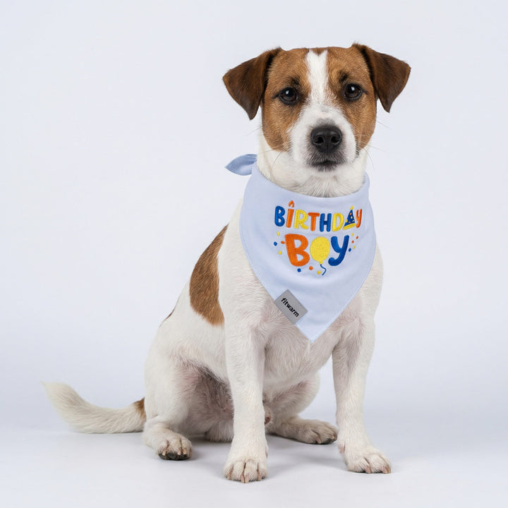 Birthday Boy Embroidered Dog Bandana