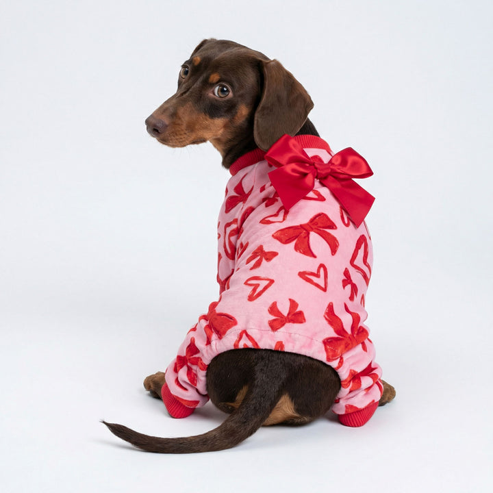 Dachshund in a dog Valentine jammies looks back