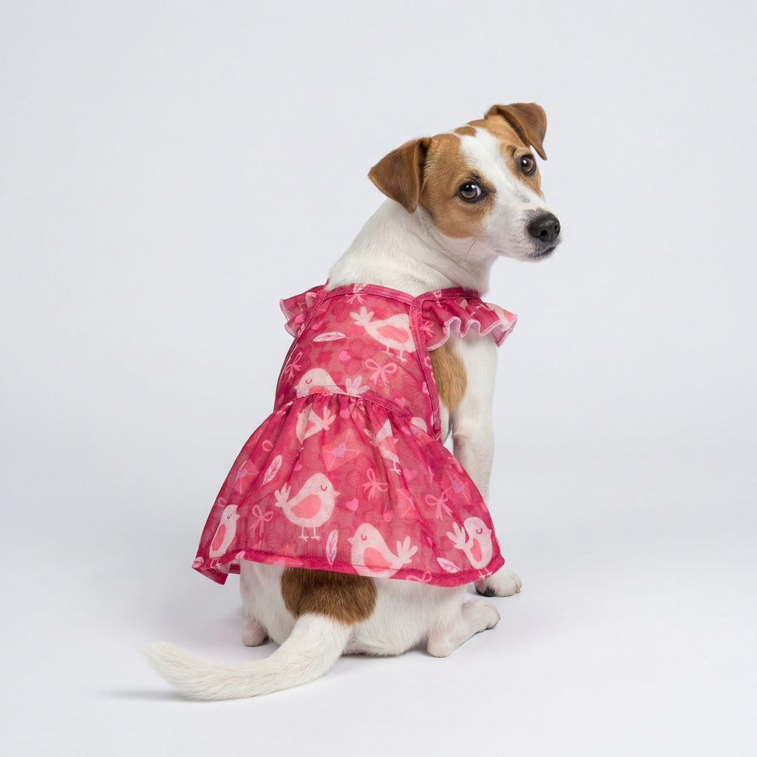 Valentine Bird Dog Dress
