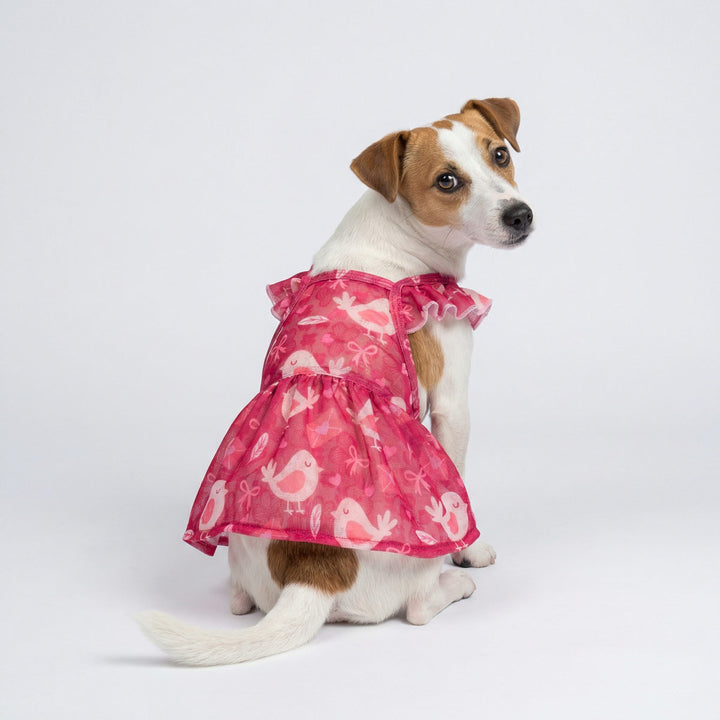 Valentine Bird Dog Dress