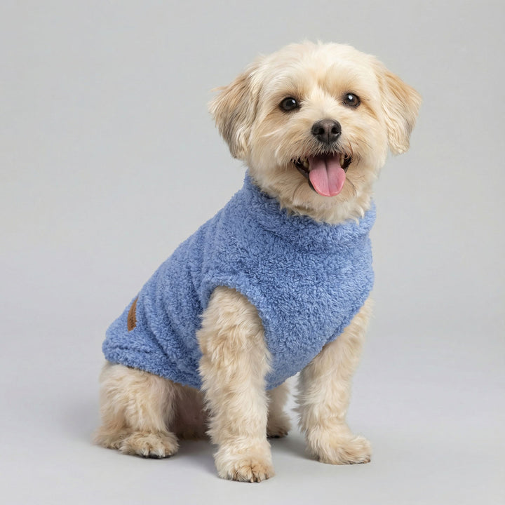 Smiling dog wearing a blue sweater for dogs on a gray background
