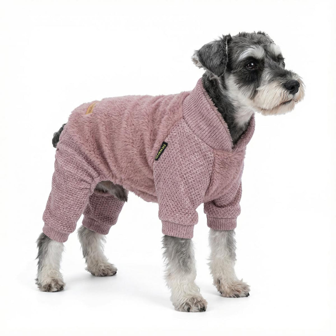 Mini schnauzer standing in cozy pink dog pjs with textured knit sleeve