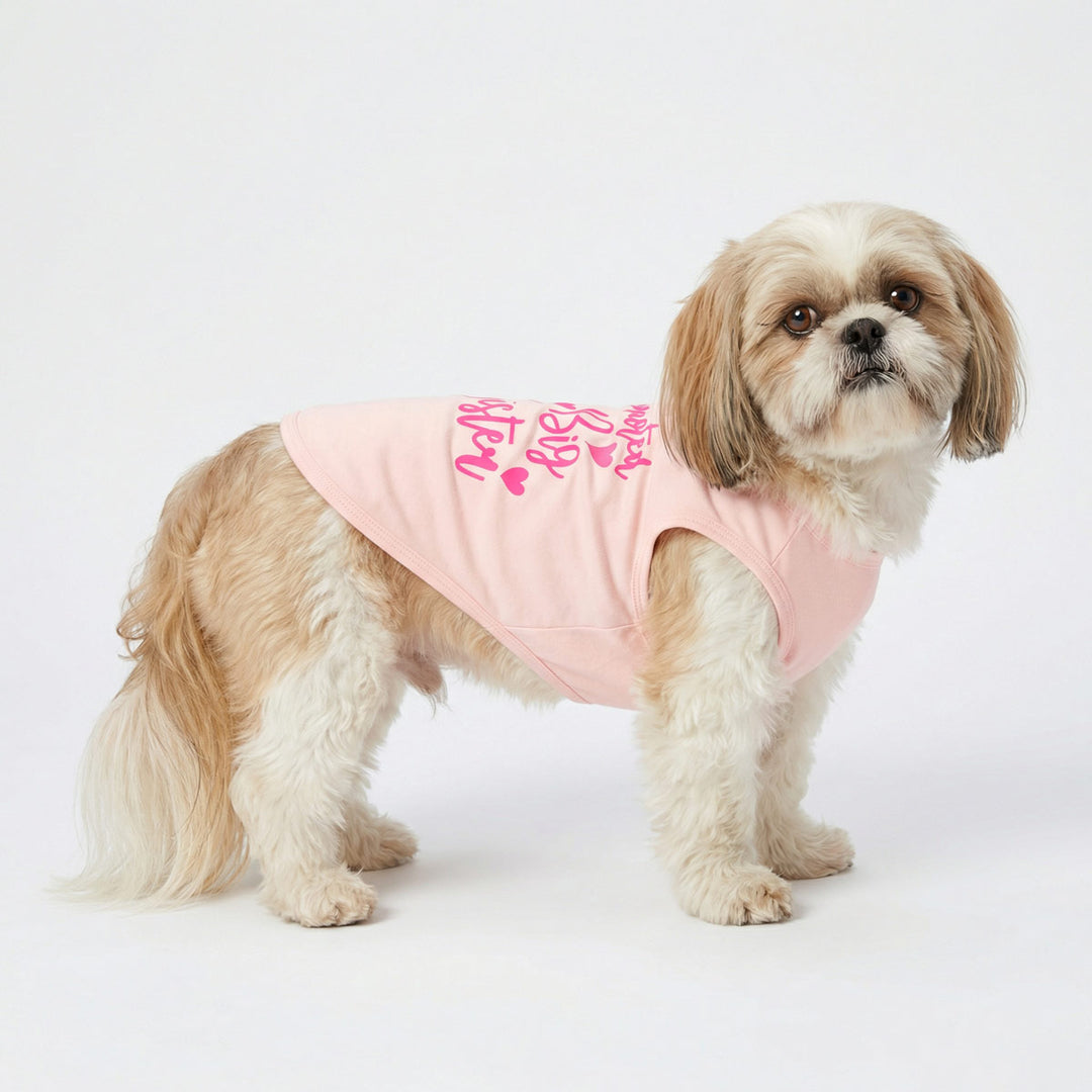 Side view of small dog wearing light pink dog shirt in studio setting