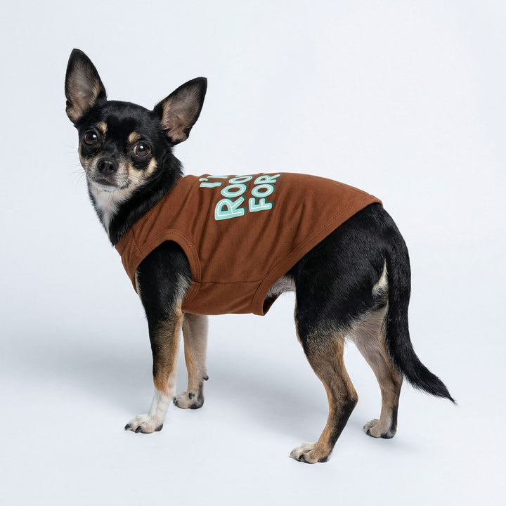 Dog stood and looking back while wearing fitted dog shirt with encouraging lettering design