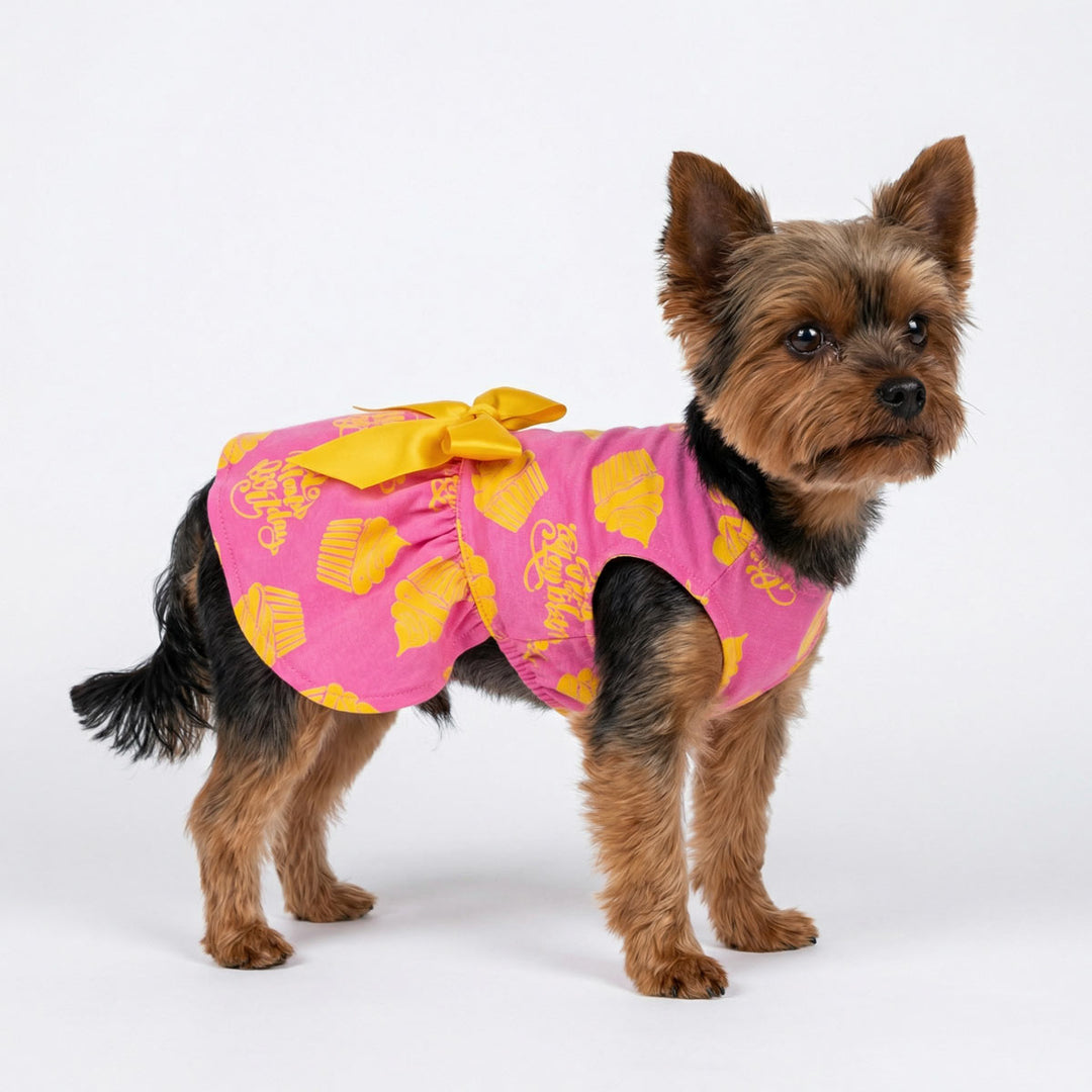 Yorkshire terrier modeling birthday dress for dog in bright pink