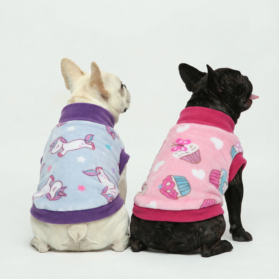 Two small dogs wearing colorful sweaters for dogs with cartoon designs on a white background