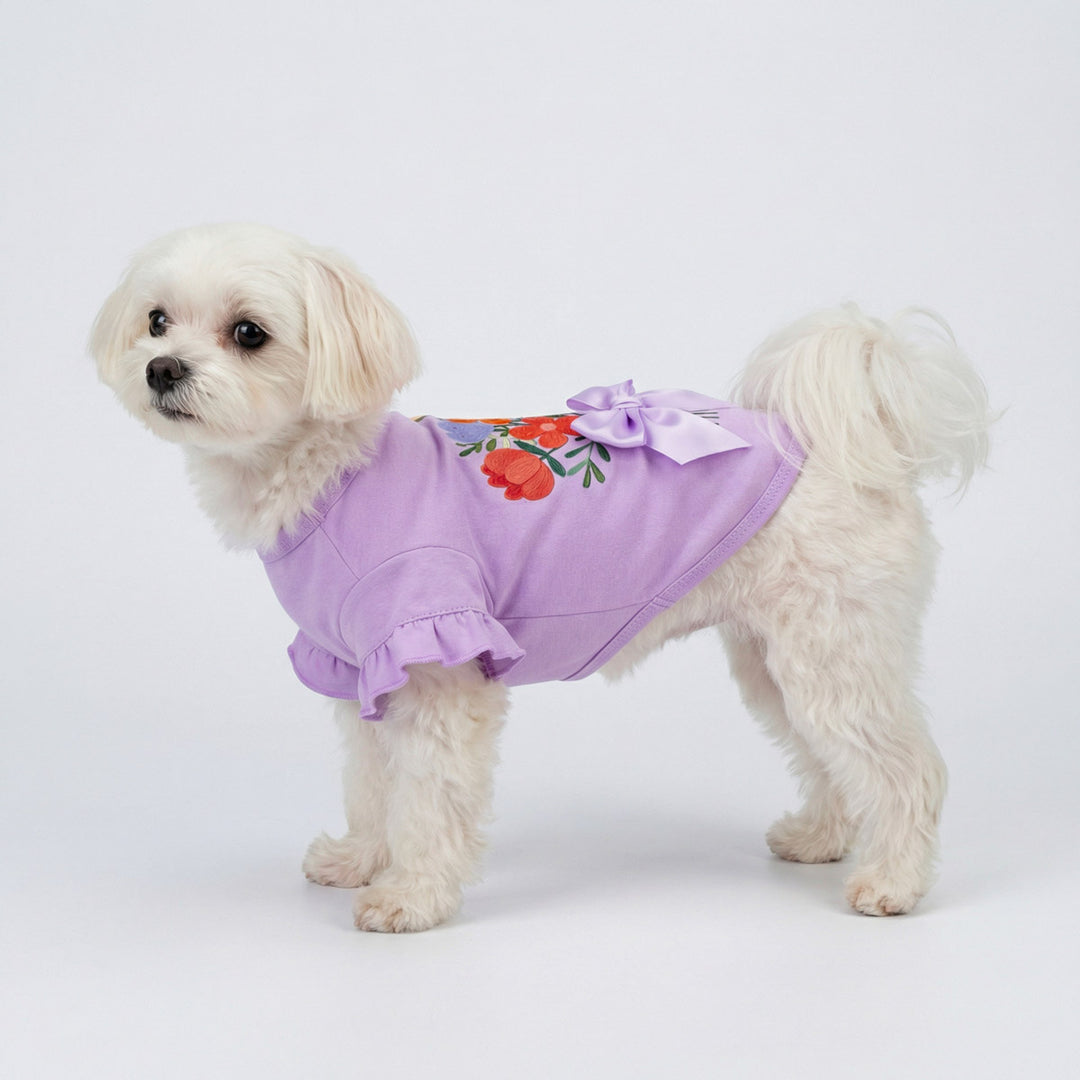 Cute dog posing in a dog tshirt with flower graphic and ruffle sleeve on a clean white background