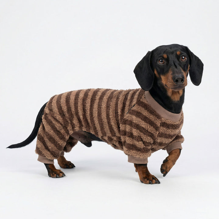Small dog dressed in soft striped dog pjs for everyday comfort