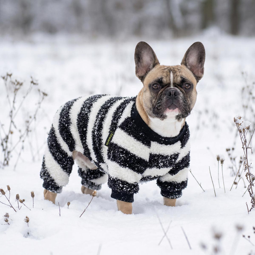 French bulldog wearing striped fleece dog pajamas in snowy outdoor setting