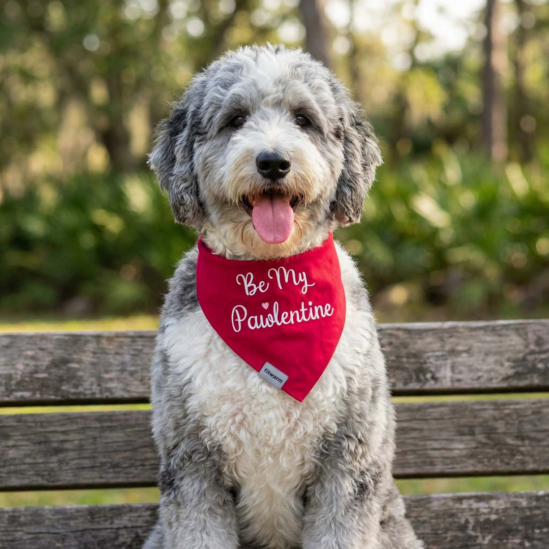 Fluffy dog wearing a red embroidered dog bandana with “Be My Pawlentine” text outdoors.