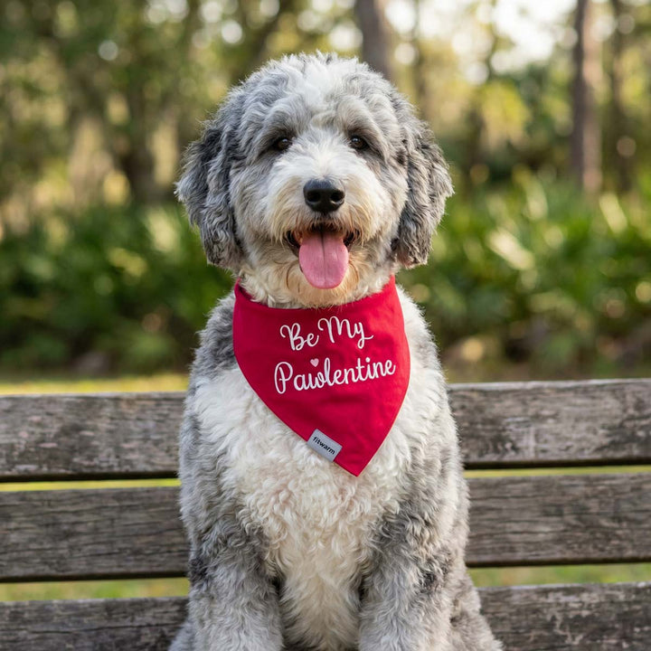 Fluffy dog wearing a red embroidered dog bandana with “Be My Pawlentine” text outdoors.