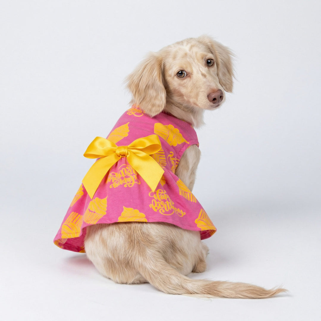 Dachshund in birthday dog dress featuring cupcake print and back bowknot