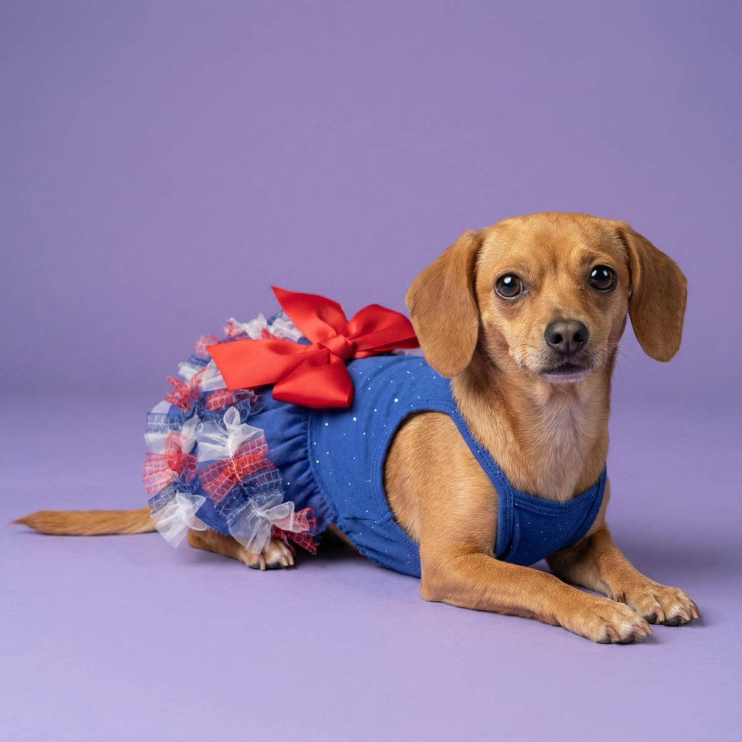 Dog lying on a purple background with a dog patriotic dress with a big bow