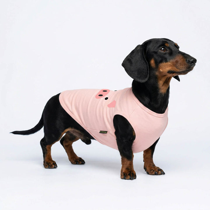 Dachshund standing in a white background with a pink dog shirt with pig face print