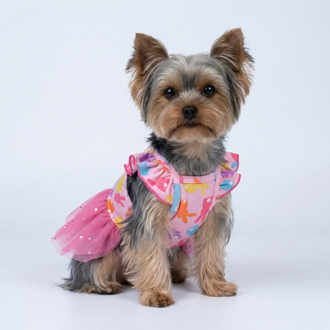 Yorkie sitting on the white background with an Easter ruffle bunny dog dress