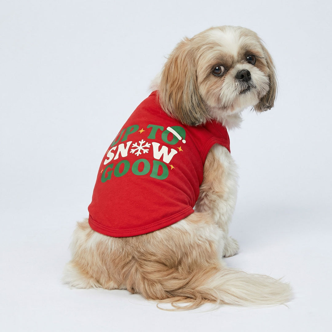 Dog wearing a red shirt with Christmas-themed 'up to snow good' lettering  on a white background