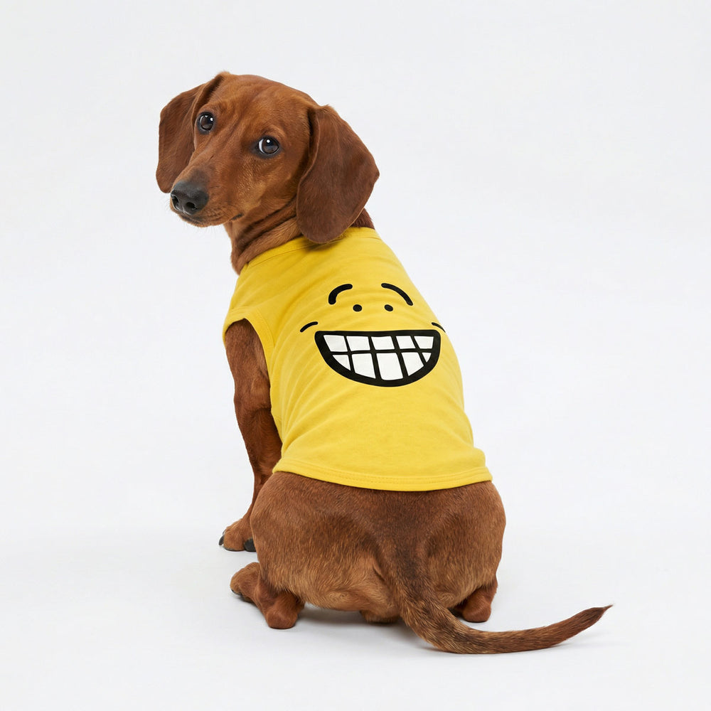 Small dog sitting and looking back while wearing yellow dog shirt with grin expression