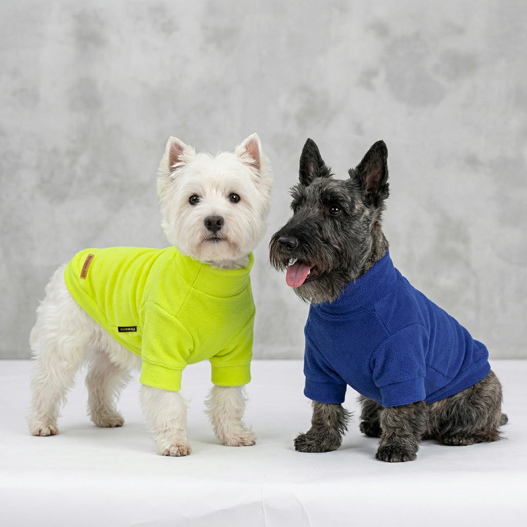 Westie and Schnauzer wearing a turtleneck dog fleece sweaters