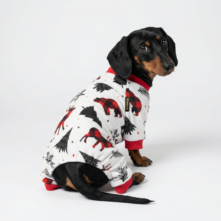 Dachshund wears a white dog Christmas pjs with plaid animal prints