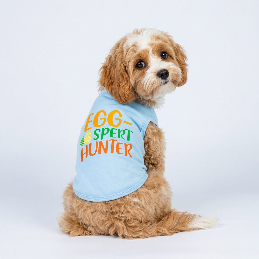 Dog wearing a blue shirt for dogs with 'EGG-SPET HUNTER' text on a white background