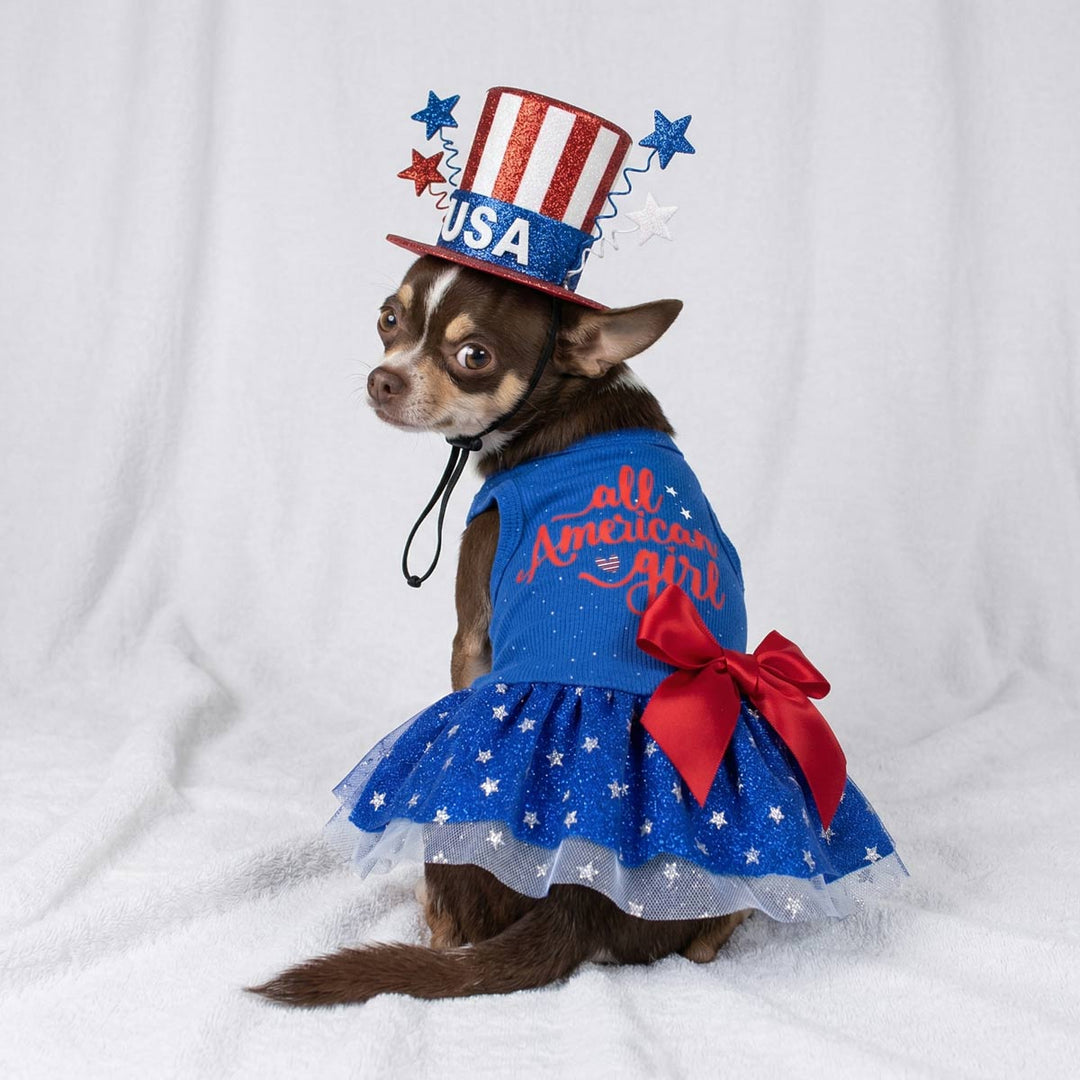 Chihuahua looks back with a USA hat and patriotic dog tutu