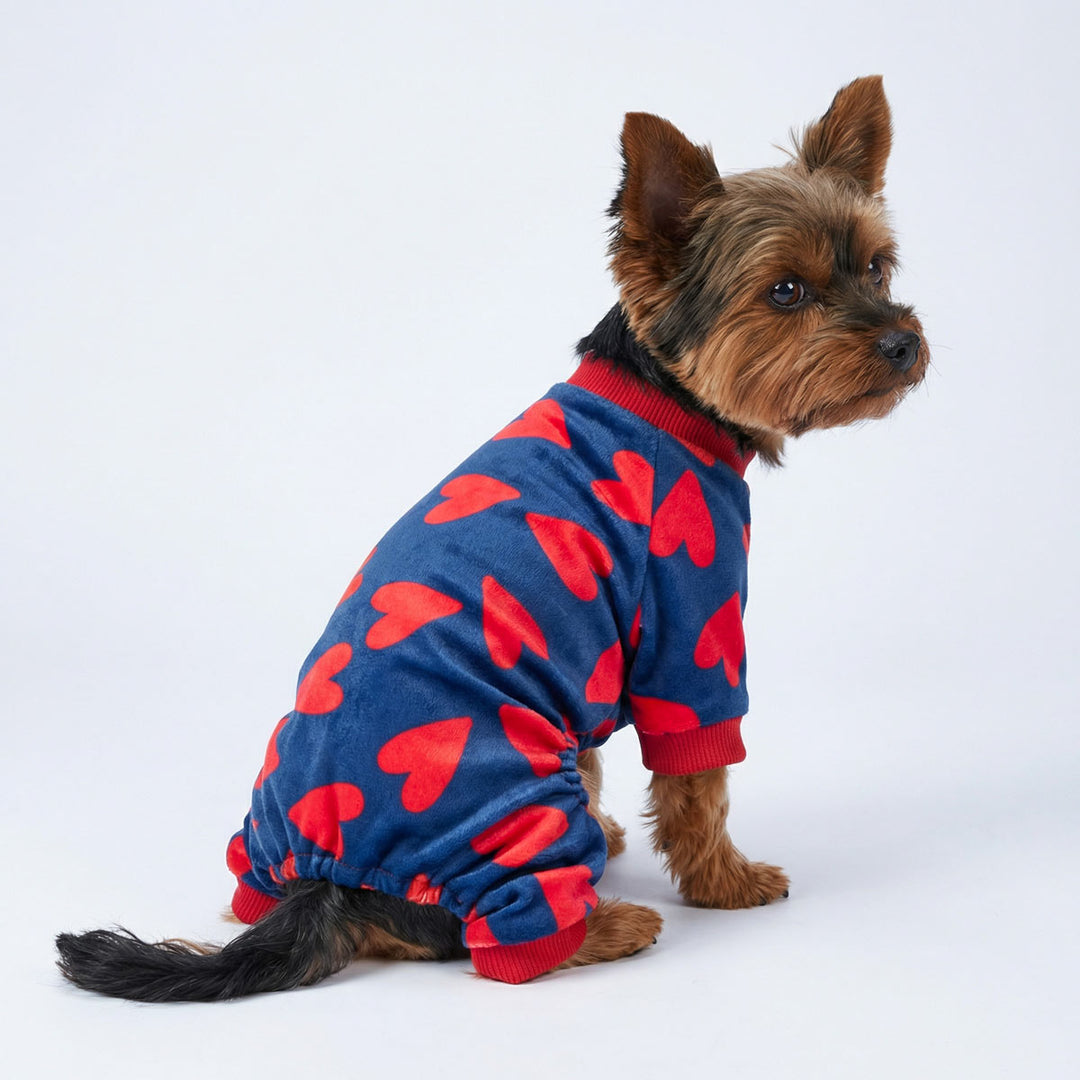 Yorkie modeling cozy dog pajamas featuring valentine heart design